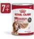 ROYAL CANIN SHN Medium Ageing Loaf Can 410g