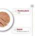 ROYAL CANIN SHN Medium Ageing Loaf Can 410g