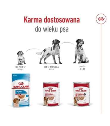 ROYAL CANIN SHN Medium Ageing Loaf Can 410g