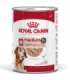 ROYAL CANIN SHN Medium Ageing Loaf Can 410g