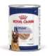 ROYAL CANIN SHN Maxi Adult Loaf Can 410g