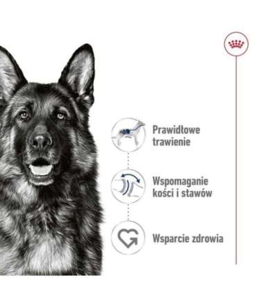 ROYAL CANIN SHN Maxi Adult Loaf Can 410g