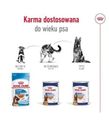 ROYAL CANIN SHN Maxi Adult Loaf Can 410g