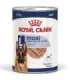 ROYAL CANIN SHN Maxi Adult Loaf Can 410g