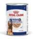 ROYAL CANIN SHN Maxi Ageing Loaf Can 410g
