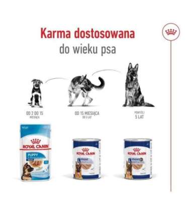 ROYAL CANIN SHN Maxi Ageing Loaf Can 410g