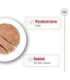 ROYAL CANIN SHN Maxi Ageing Loaf Can 410g
