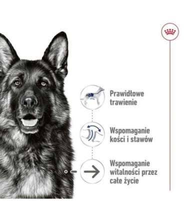 ROYAL CANIN SHN Maxi Ageing Loaf Can 410g