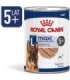 ROYAL CANIN SHN Maxi Ageing Loaf Can 410g