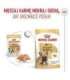 ROYAL CANIN BHN French Bulldog Loaf 12X85G