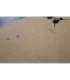 SALE OUT. Digitus 12U Wall Mounting Cabinet, Unique Series - 600x600 mm, Grey SALE OUT. Digitus Wall Mounting