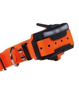 GPS obojek pro psa DOG GPS X40