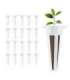 Indoor plant growing accessory set GB133 AS