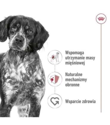 ROYAL CANIN SHN Medium Adult Loaf Can 410g