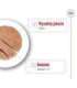 ROYAL CANIN SHN Medium Adult Loaf Can 410g