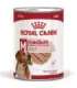 ROYAL CANIN SHN Medium Adult Loaf Can 410g