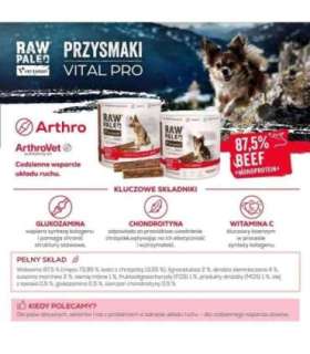 VetExpert Raw Paleo Vital Pro arthro beef mini 100g