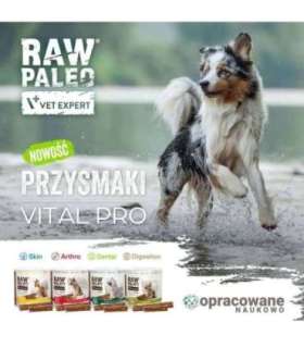 VetExpert Raw Paleo Vital Pro arthro beef medium large 100g