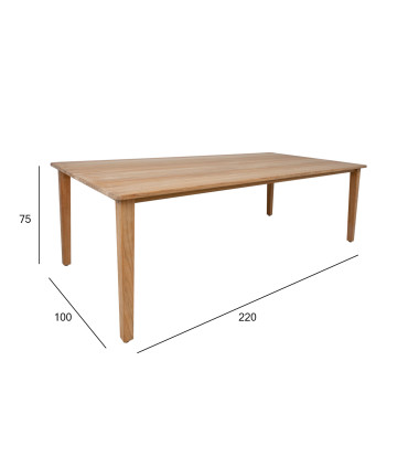 Laud MALDIVE 220x100xH75cm, tiikpuu