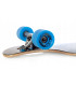 Longboard Raven Torex Blue, ABEC9