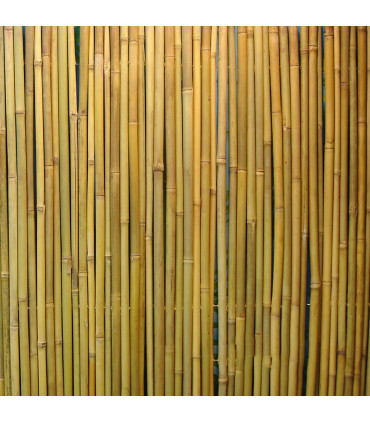 Бамбуковый забор IN GARDEN D14/16мм, 1x3м
