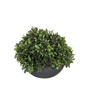Roheline taim IN GARDEN, D24xH19cm, hallis potis