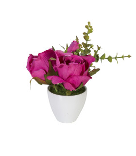 Roosad roosid IN GARDEN, H15cm, valge pott