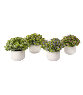 Искусственное растение IN GARDEN, H15см, разные