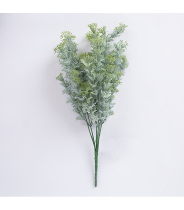 Peterselli kimp IN GARDEN, H30cm