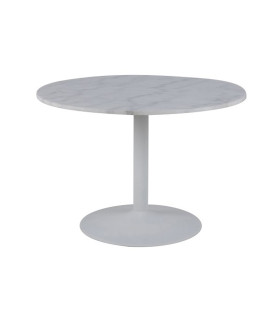 Söögilaud TARIFA D110xH75cm, lauaplaat: marmor, värvus: valge, jalg: pulbervärvitud, värvus: matt valge