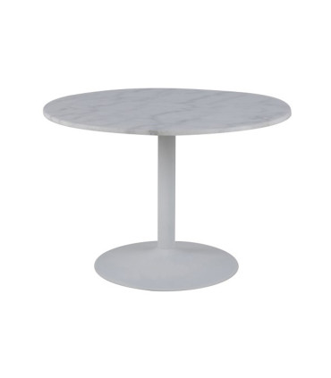 Söögilaud TARIFA D110xH75cm, lauaplaat: marmor, värvus: valge, jalg: pulbervärvitud, värvus: matt valge