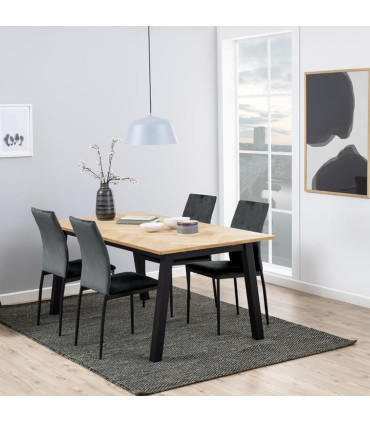 Обеденный стул DEMINA, 53x43,5x92см, ткань: тёмно-серый 40