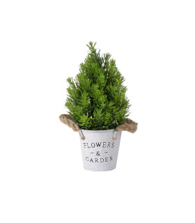 Roheline kuusk IN GARDEN, H30cm, plekkpott köiest sangadega