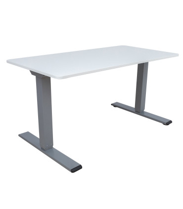 Töölaud ERGO OPTIMAL 2-mootoriga 160x80xH62-127cm, hallikasvalge/hõbehall