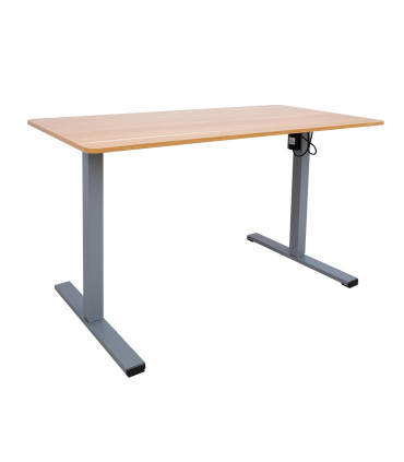 Töölaud ERGO OPTIMAL 1-mootoriga 120x60xH71-116cm, tamm/hõbehall