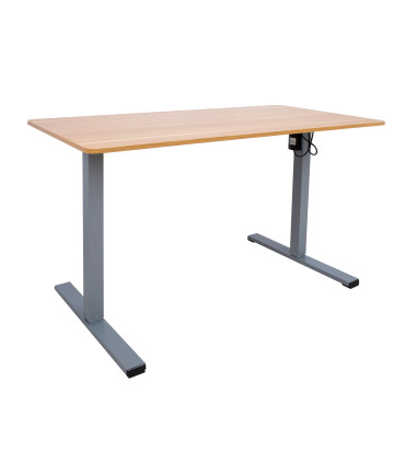 Письменный стол ERGO OPTIMAL с 1 мотором 120x60cm, дуб