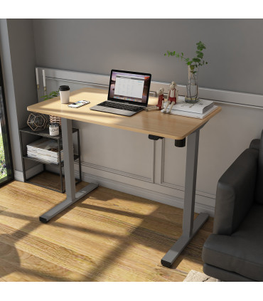 Töölaud ERGO OPTIMAL 1-mootoriga 120x60xH71-116cm, tamm/hõbehall