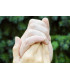 Kätehooldusaine Invisable Glove 650ml, Motip