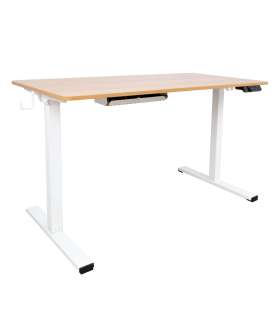 Töölaud ERGO 1-mootoriga 120x60xH73-121cm, tamm/valge