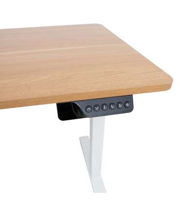 Письменный стол ERGO с 1 мотором 120x60xH73-121см, белый/дуб