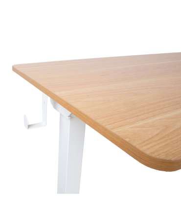 Töölaud ERGO 1-mootoriga 120x60xH73-121cm, tamm/valge