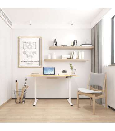 Töölaud ERGO 1-mootoriga 120x60xH73-121cm, tamm/valge