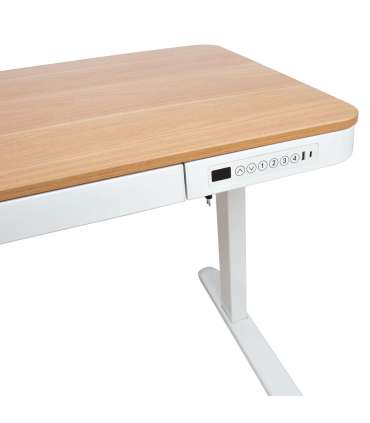 Письменный стол ERGO с 1 мотором 120x60xH72-121см, белый/дуб