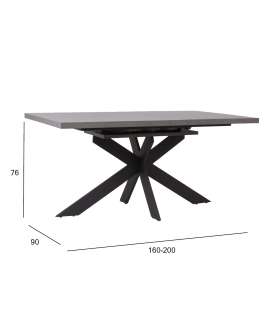 Söögilaud EDDY 160/200x90xH76cm, helehall