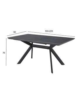 Обеденный стол EDDY 2160 / 220x90xH76см серый