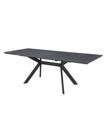 Обеденный стол EDDY 2160 / 220x90xH76см серый