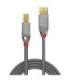 CABLE USB2 A-B 2M/CROMO 36642 LINDY