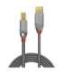 CABLE USB2 A-B 3M/CROMO 36643 LINDY
