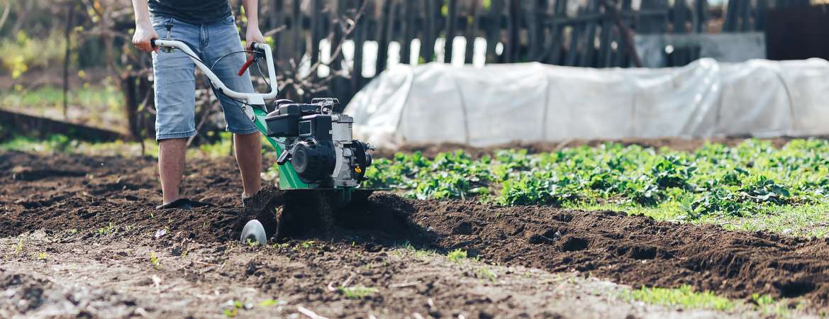 Mis on mullafrees ja kuidas valida parim oma aeda?